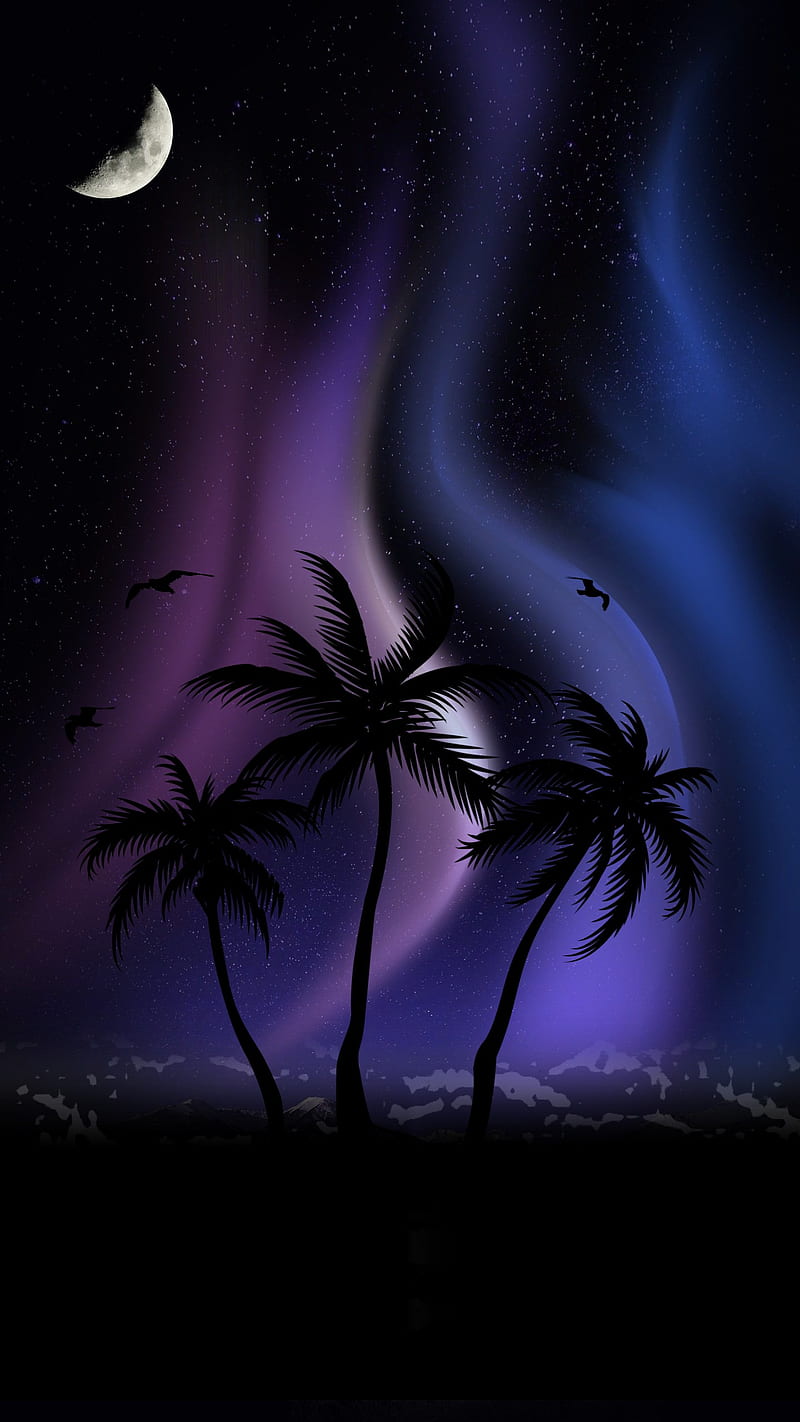 Moonlit Palms, blue, moon, night, nighttime, northern lights, palm trees, purple, stars, HD phone wallpaper