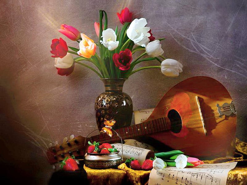Music and tulips, still life, flowers, tulips, mandolin, HD wallpaper