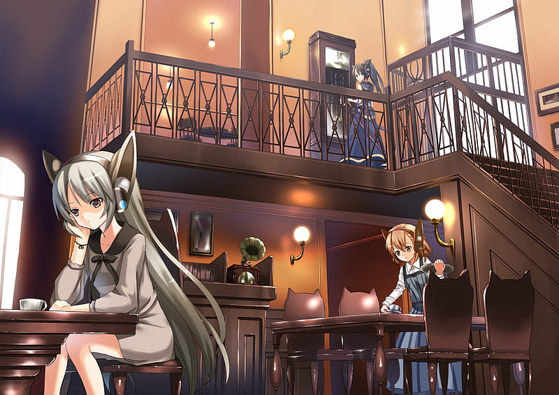 certaan-cafe, cute, cafe, cat-ears, anime, HD wallpaper