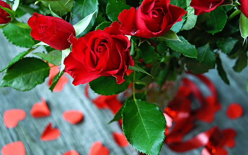 Anniversary Red Rose Bouquet Decoration, HD wallpaper