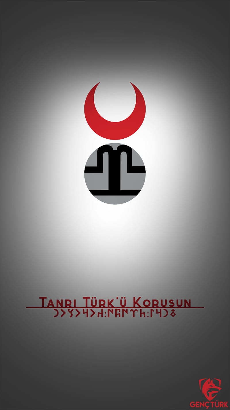 Altinordu Dev GencT, altinordu devleti, gencturk, turk devletleri, HD phone wallpaper