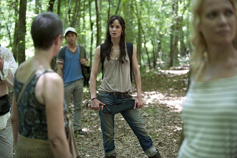 Tv Show, The Walking Dead, Sarah Wayne Callies, Lori Grimes, HD wallpaper