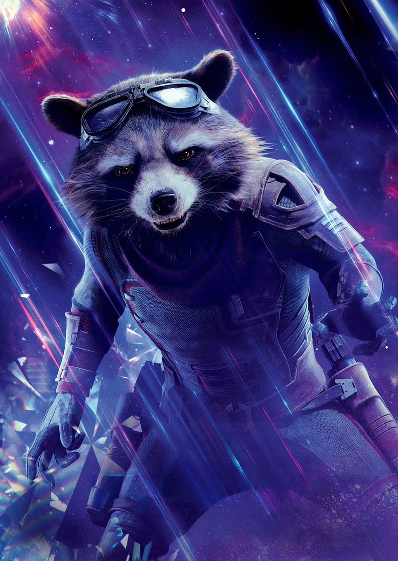 Rocket Raccoon in Avengers Endgame, HD phone wallpaper