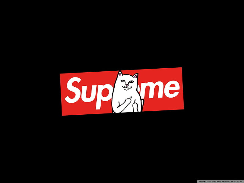 Supreme, cat, finger, funny, middle, HD wallpaper