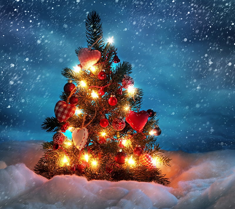Christmas Tree, family, greetings, holiday, love, season, HD wallpaper