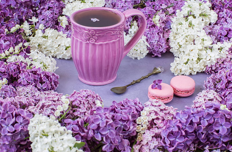 Food, Tea, Flower, Cup, Purple Flower, Macaron, White Flower, Lilac, HD wallpaper