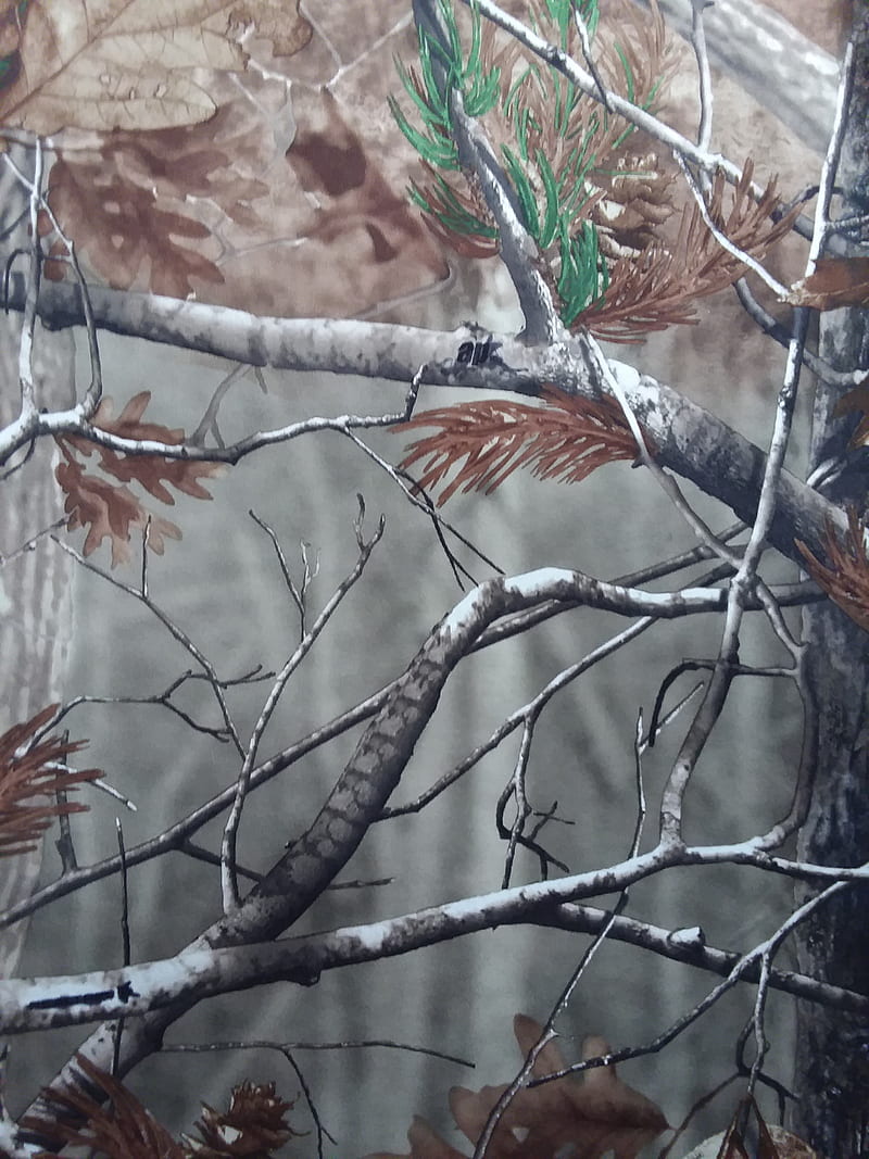 Camo, deer, hunting, oak, real, tree, HD phone wallpaper