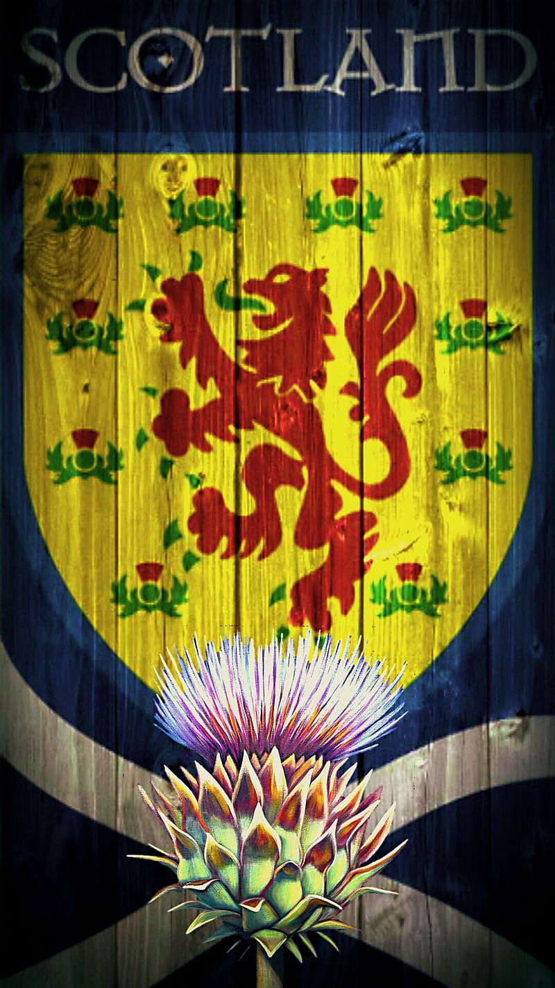 Scotland, flag, lionrampant, HD phone wallpaper