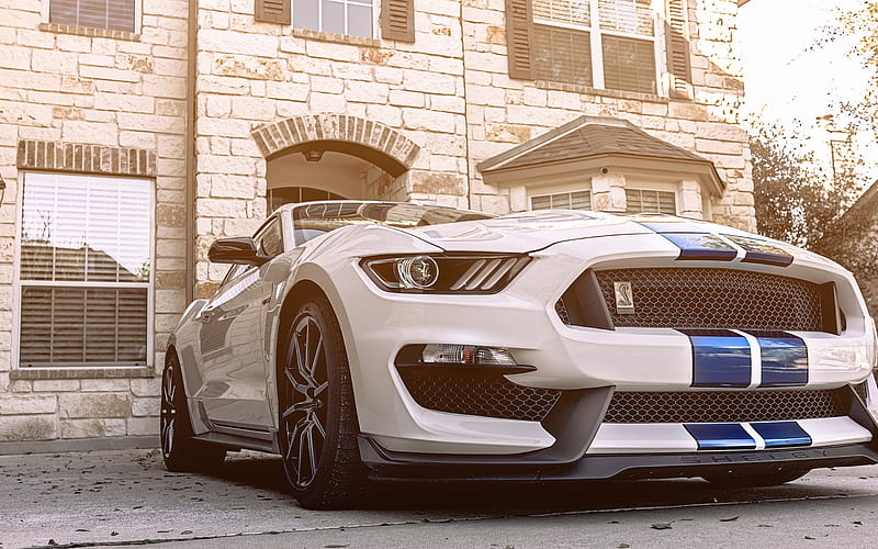 Ford Mustang GT350, supercars, 2018 cars, tuning, Ford Mustang, Ford, HD wallpaper