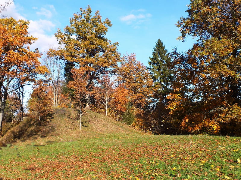 Autumn. Buse castle mound., nature, history, landscape, HD wallpaper