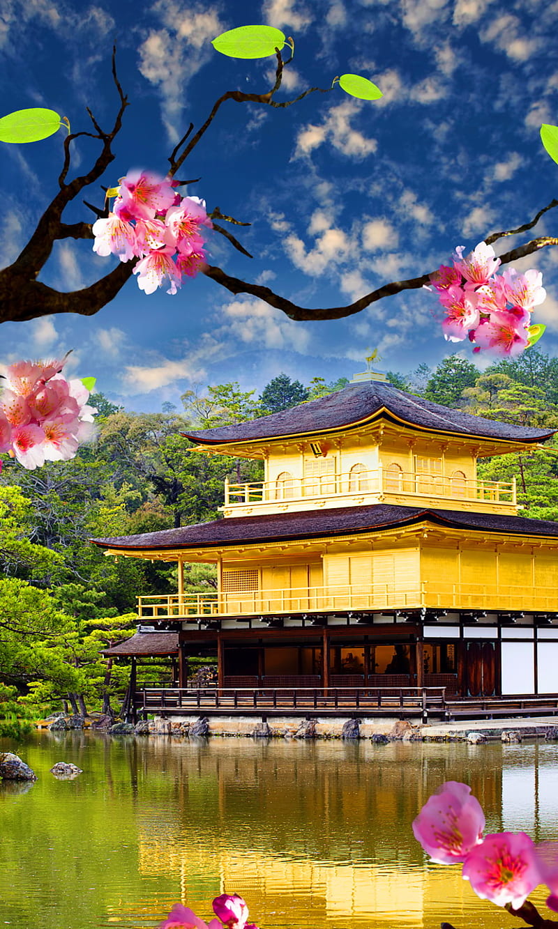 Golden Pavilion, asian golden, blossom tree, river, temple, HD phone wallpaper