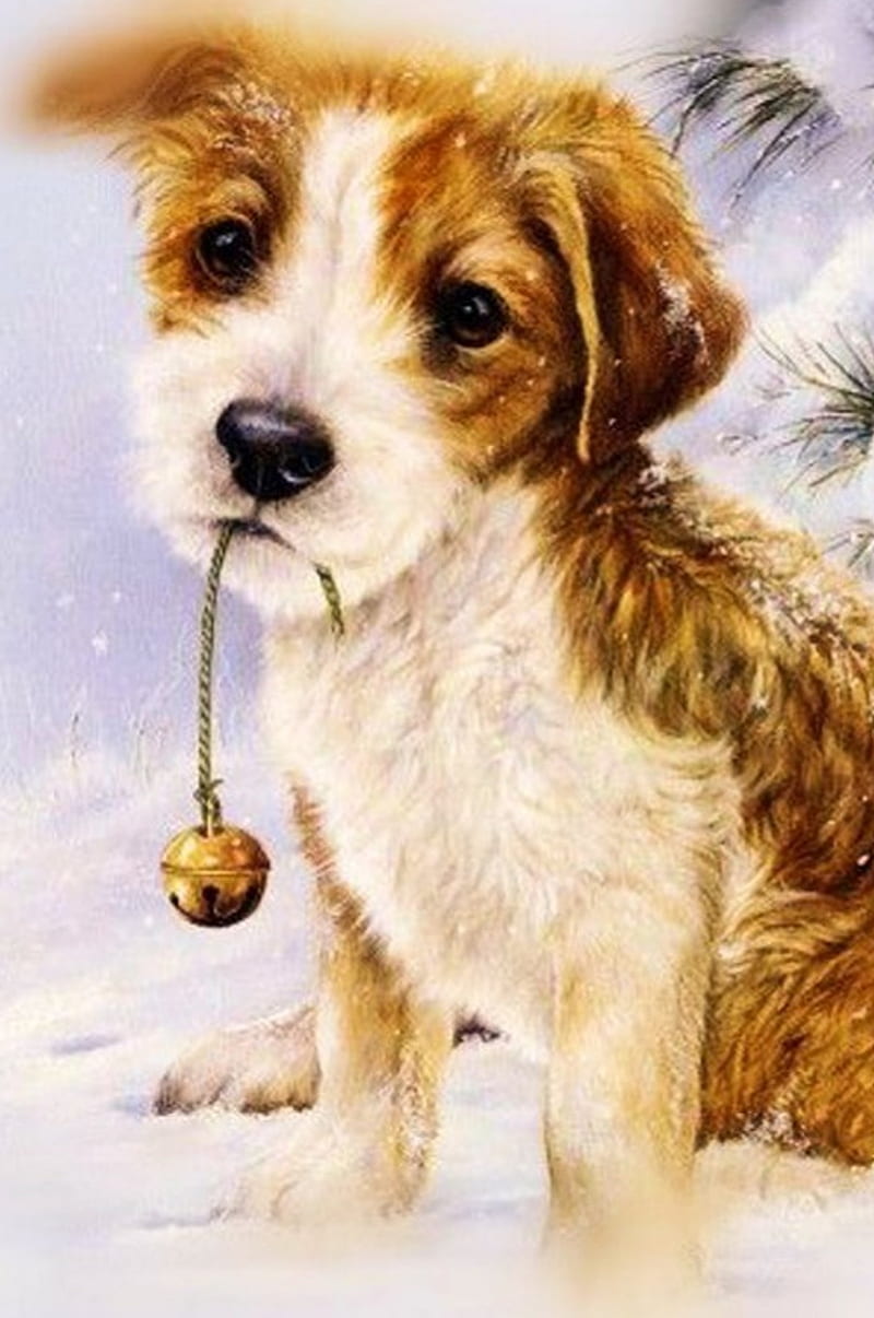 So Sad, cute, dog, sad, HD phone wallpaper