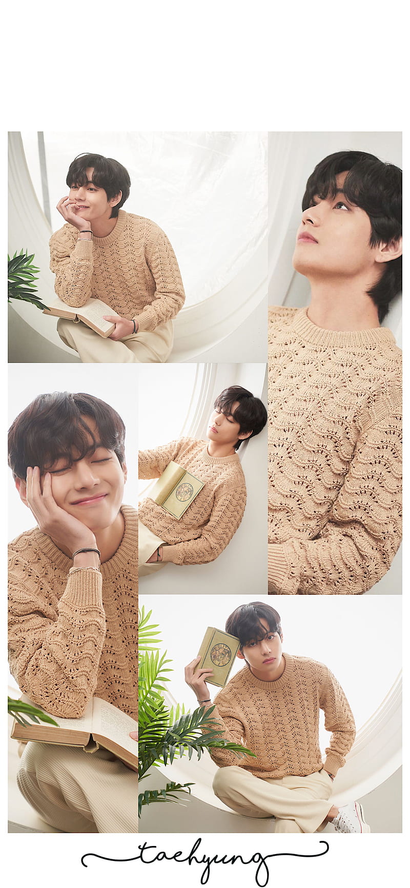 BTS Taehyung, Exclusive content, Weverse, Army, v, kim taehyung, HD phone wallpaper