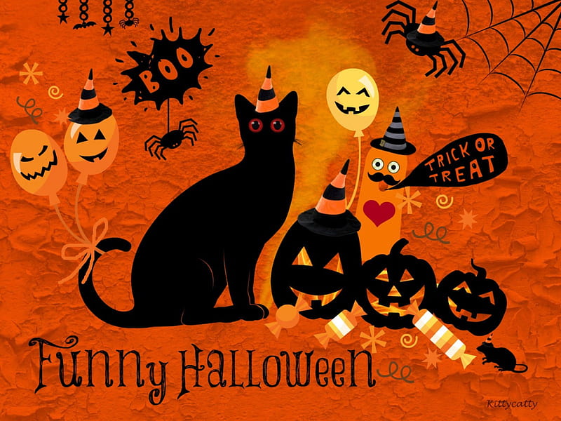 ☻☻☻Funny Halloween☻☻☻, trick or treat, halloween, spider, darkness, party, scary, animals, halloween party, cat, hat, spider web, jack-o-lantern, boo, balloons, rat, halloween eve, funny, nature, cats, HD wallpaper