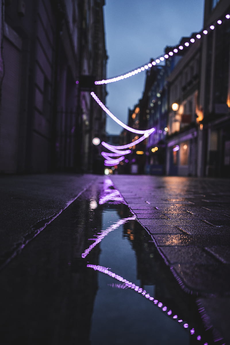 street, puddle, reflection, garlands, lights, HD phone wallpaper
