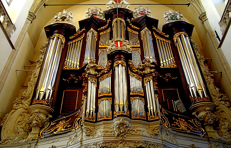 The Organ Just Begin, building, amazing, beauty, church, musical, HD wallpaper
