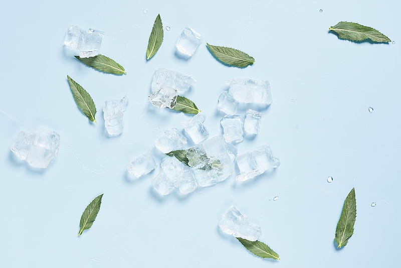 ice, mint, leaves, cold, macro, HD wallpaper