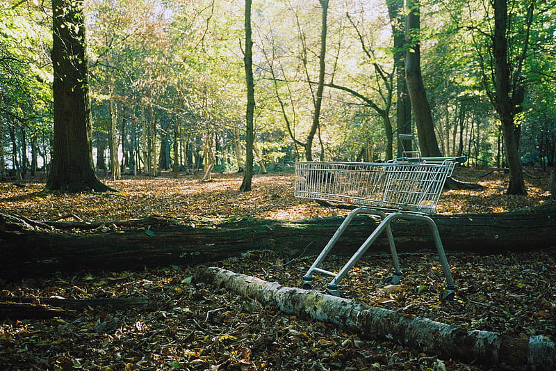 gray metal shopping cart on forest during daytime, HD wallpaper