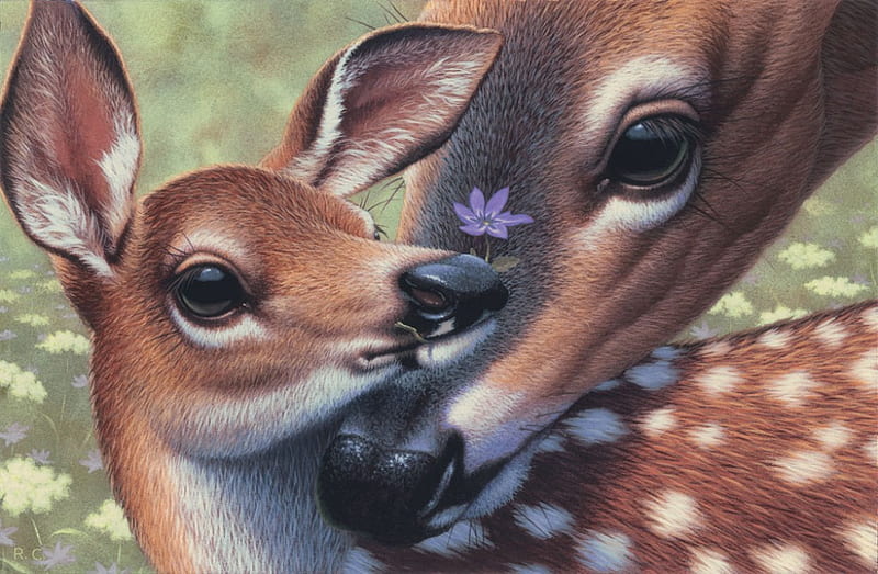 Flower for you, fawn, young, flower, spring, mother, field, deer, HD wallpaper