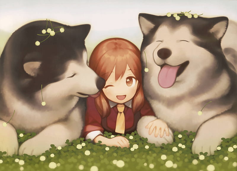 Anime Dog Alaskan Malamute, Cute Chibi Dog, HD wallpaper | Peakpx