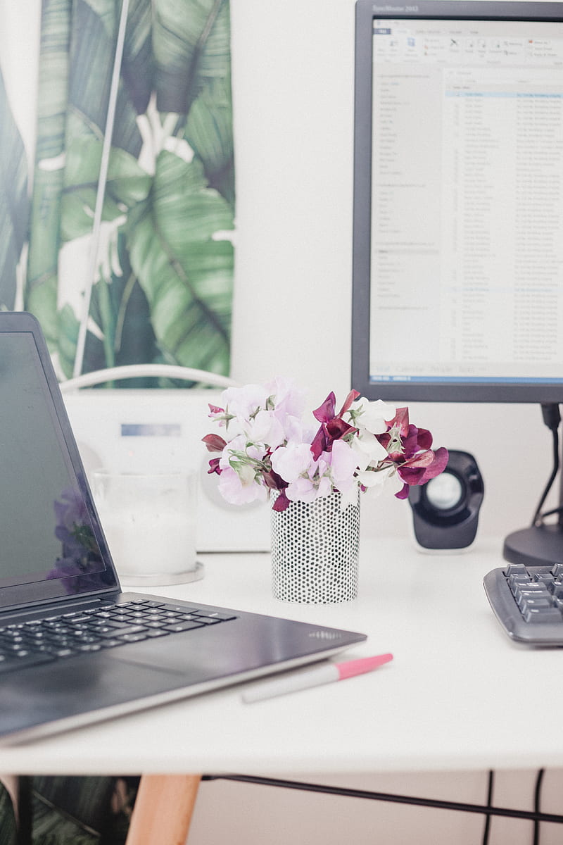 pink and red petaled flower on vase beside computers, HD phone wallpaper