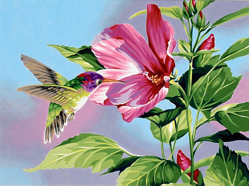Hibiscus hummingbird, pretty, lovely, hibiscus, bonito, spring, hummingbird, bird, flying, painting, flower, HD wallpaper