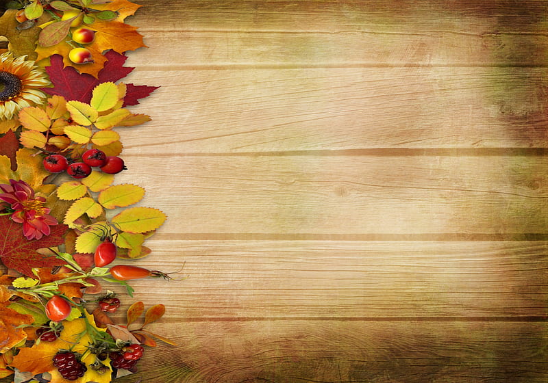 Otoño vintage, otoño, hojas, bayas, vendimia, Fondo de pantalla HD | Peakpx