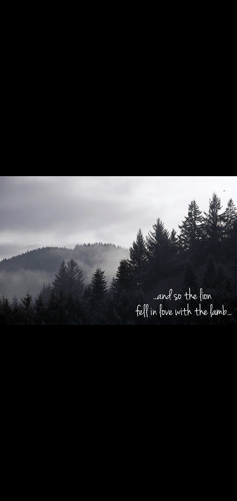 HD twilight quotes wallpapers | Peakpx
