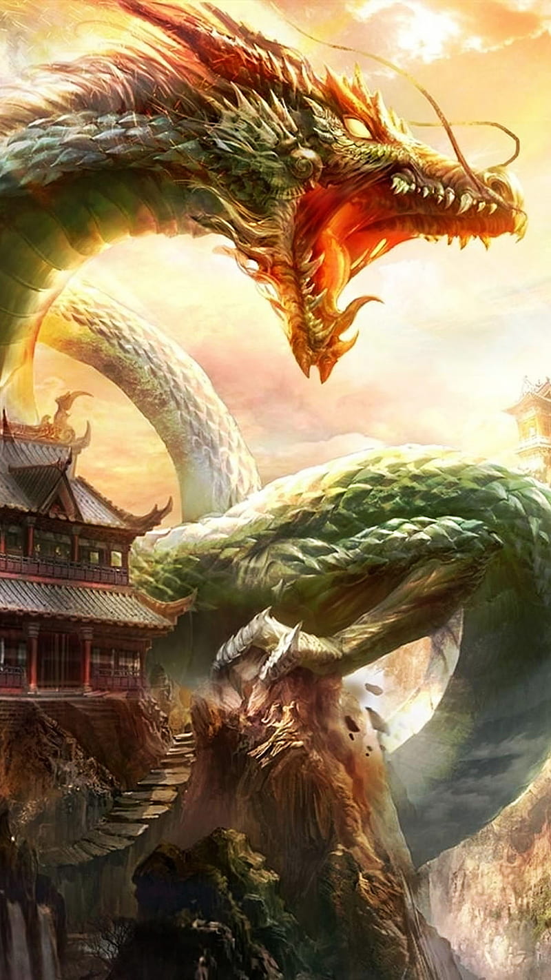 Mad dragon, china, fantasy, HD phone