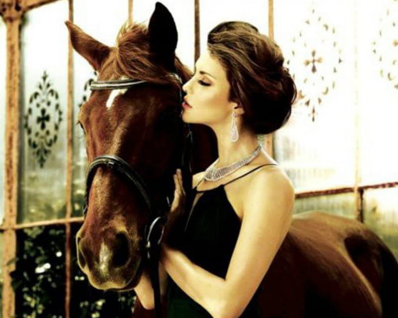 Two Beauty, beauty, horse, woman, animal, HD wallpaper | Peakpx
