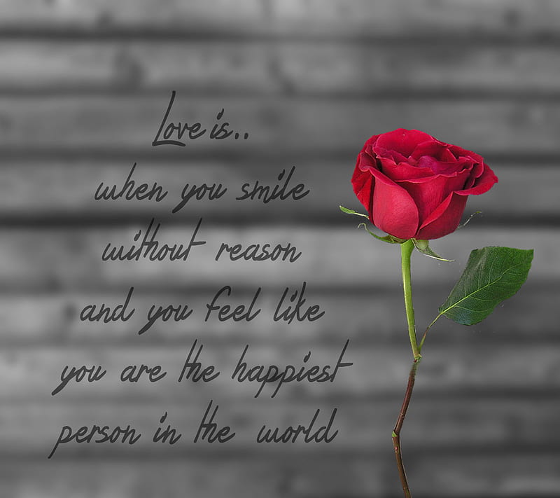 ROSE, best, cool, cute, feeling, letter, love, new, saying, top, HD ...