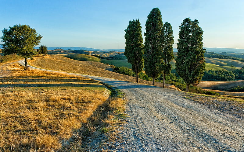 Country Road in Tuscany, Tuscany, Italy, road, trees, landscape, HD wallpaper