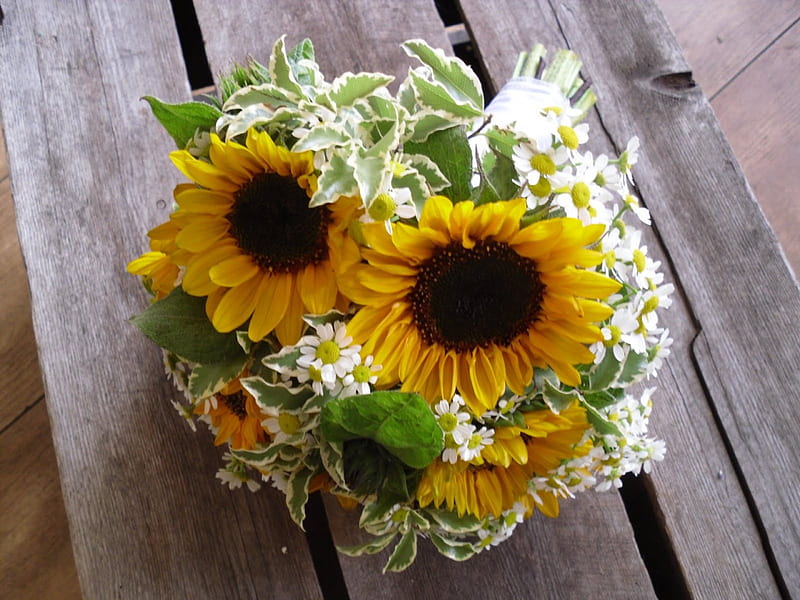 ω✿ω sol nupcial ω✿ω, fresco, amarillo, dulce, verde, girasoles, ramo, amor,  brillante, Fondo de pantalla HD | Peakpx