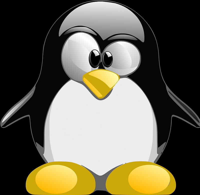 Penguin, black, white, orange, HD wallpaper | Peakpx