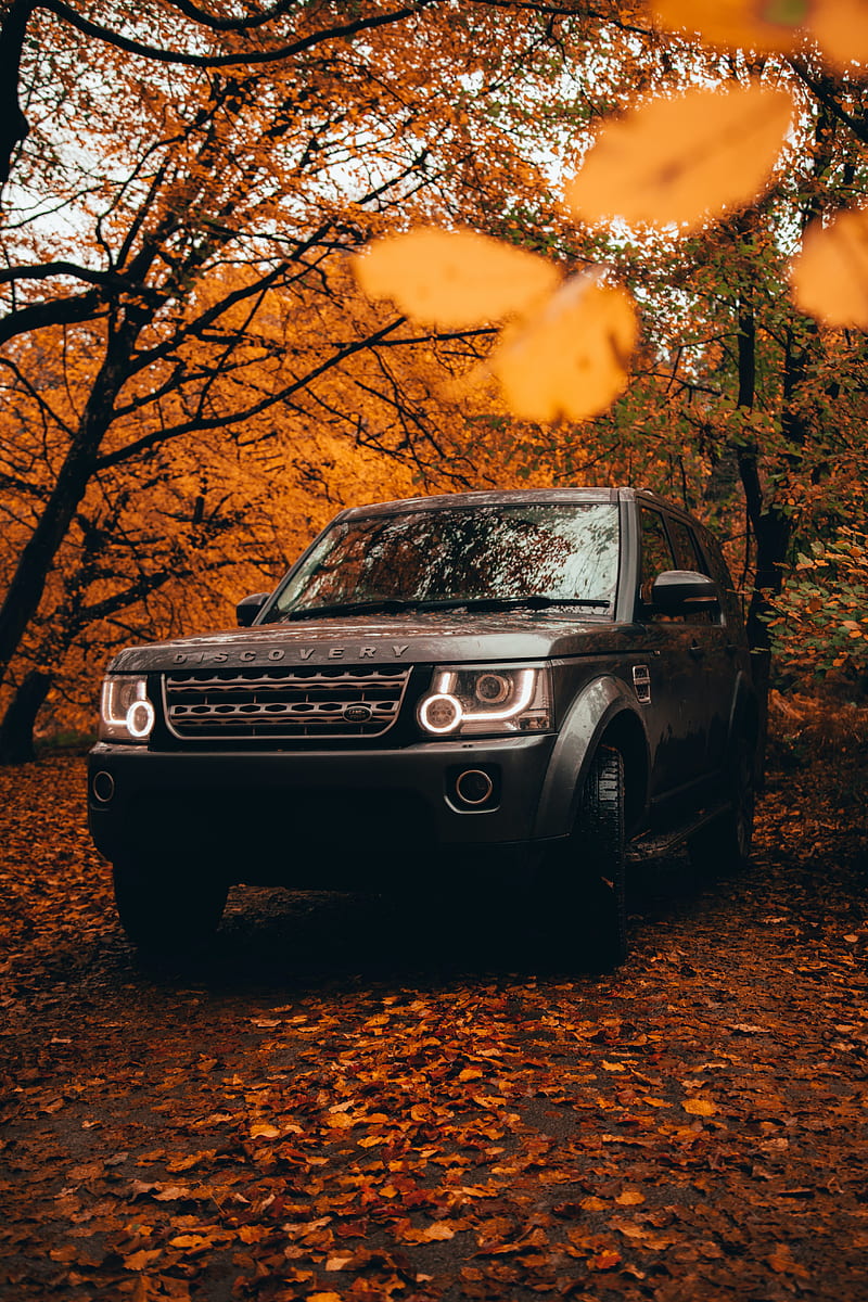 Land rover discovery, land rover, vehicle, suv, gray, front view, HD phone  wallpaper | Peakpx