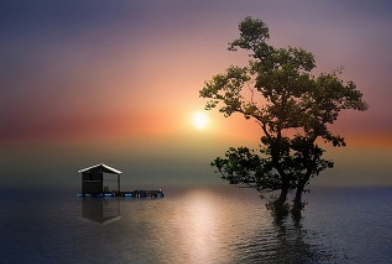 Mystical Dawning, purple sky, hut, foggy ambient, bonito, sunrise, trees, clouds, lake, HD wallpaper