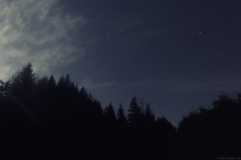 night, starry sky, trees, dark, darkness, HD wallpaper