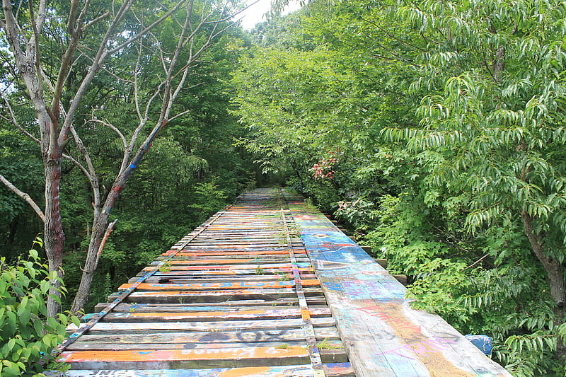 Bridge of Art, landscapes, local, nature, railroad, tracks, unedited, HD wallpaper