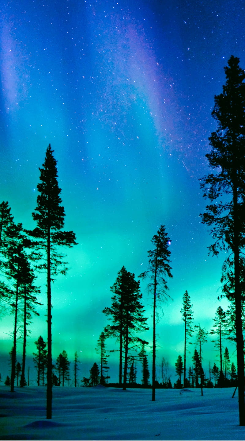 Northern lights iphone 876s6 for parallax wallpapers hd desktop  backgrounds 938x1668 images and pictures