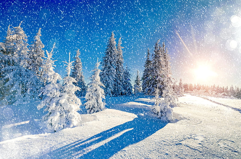 Snowy landscape, sun, bonito, trees, sky, ski, winter, mountain, snow, snowflakes, snowfall, slope, sunrise, landscape, nsowfall, HD wallpaper