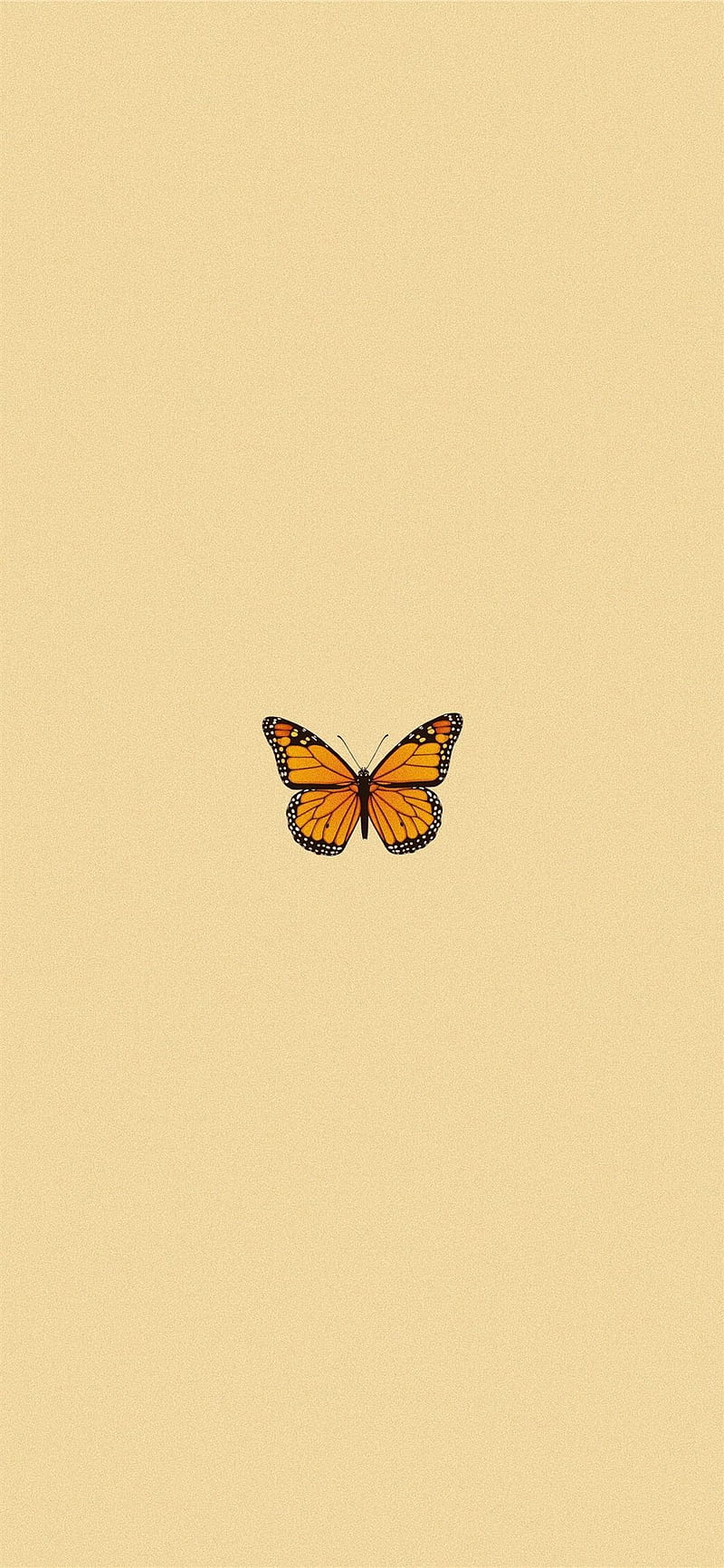 Yellow Butterfly butterflies butterfly HD phone wallpaper  Peakpx