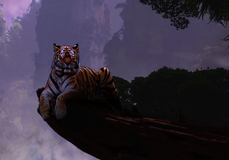 Hổ: Cùng ngắm nhìn một con hổ hoang dã mạnh mẽ, một trong những loài động vật hung dữ nhất trên thế giới. Với sức mạnh và tốc độ phi thường, con hổ xứng đáng là sự lựa chọn hàng đầu cho những ai yêu thích sự sống động ở tự nhiên.