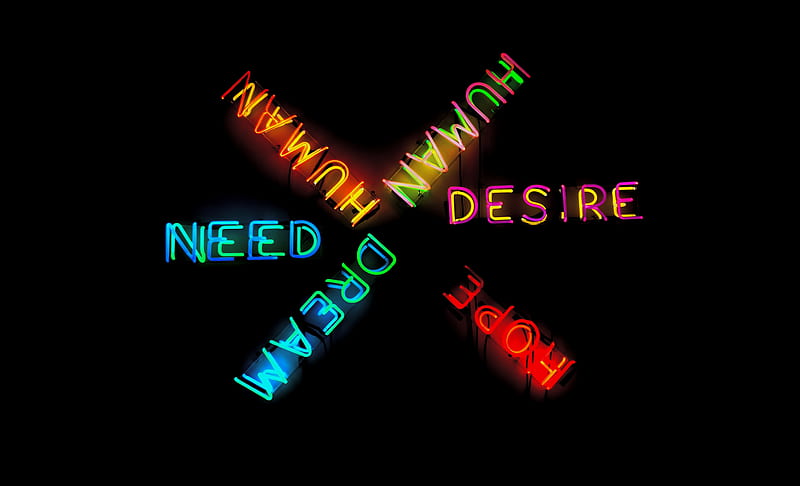 several assorted-color neon light signage, HD wallpaper