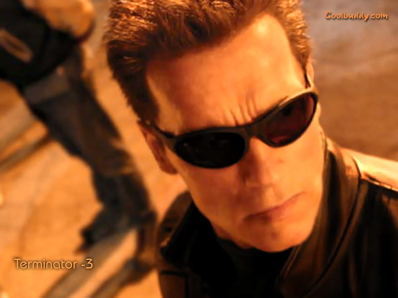 Terminator 3 Rebellion der Maschinen, sunglasses, sci fi, arnold schwarzenegger, the terminator, HD wallpaper