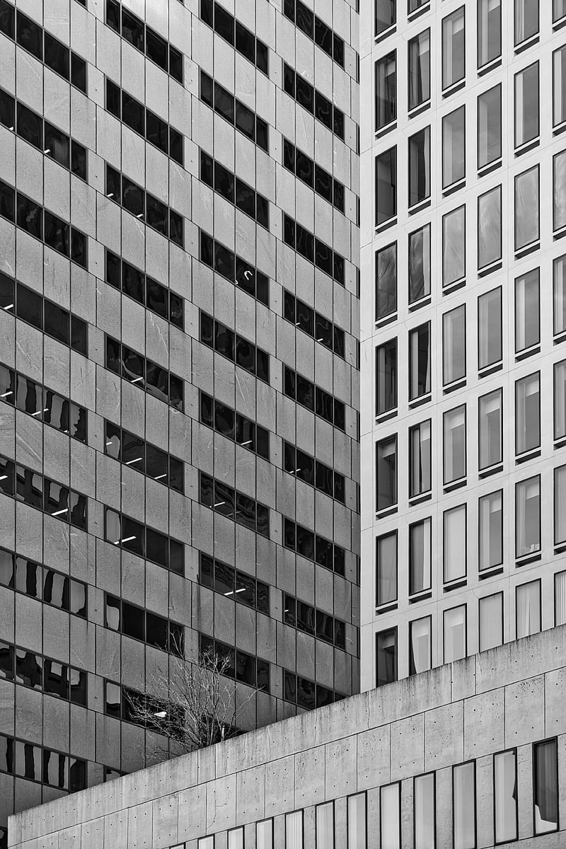 Edificios, Arquitectura, Ventanas, Rascacielos, Fachada, Blanco Y Negro ...