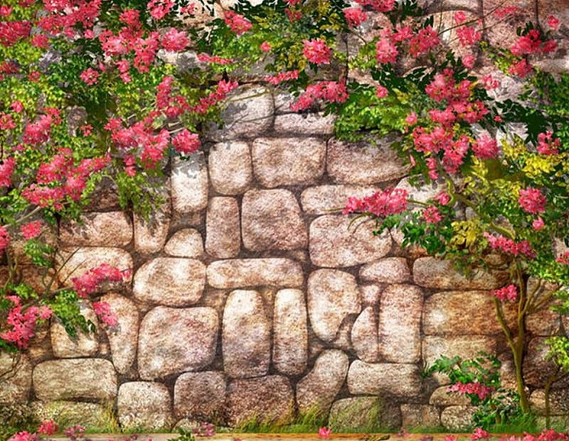 rose garden, garden, spring, rose, stone, HD wallpaper