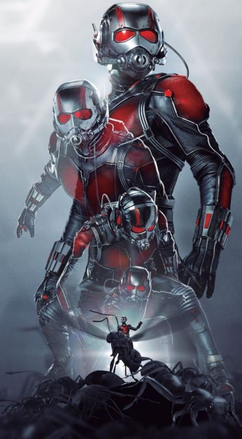Antman, ant, legends, man, marvel, super, HD phone wallpaper
