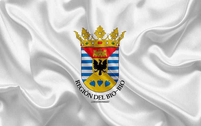 Flag of Biobio Region silk flag, Chilean Administrative Region, silk texture, Biobio Region, Chile, South America, Biobio flag, HD wallpaper