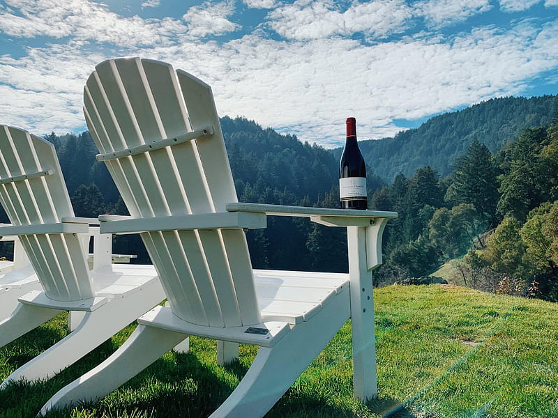 Wine Tasting in the Santa Cruz Mountains. South Bay Area Winery Guide, Santa Cruz Redwoods, HD wallpaper