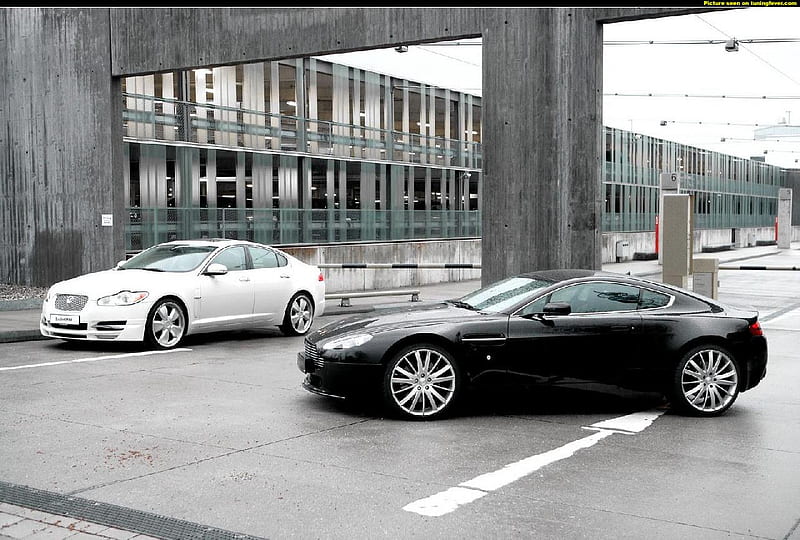 Jaguar XF & V8 Vantage, jags, black, white car, luxury, HD wallpaper